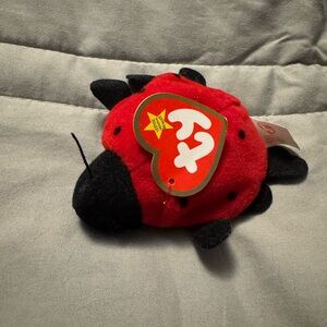 Ty “Lucky” the Ladybug teenie beanie baby 1999 NWT